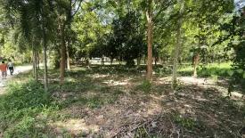 Land for sale in Nong Ya, Kanchanaburi