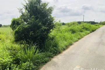Land for sale in Na Roek, Chonburi