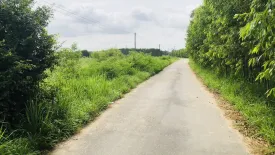 Land for sale in Na Roek, Chonburi