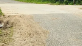 Land for sale in Na Roek, Chonburi