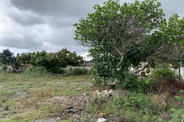 Land for sale in Nong Prue, Chonburi