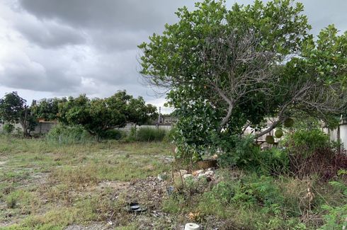 Land for sale in Nong Prue, Chonburi