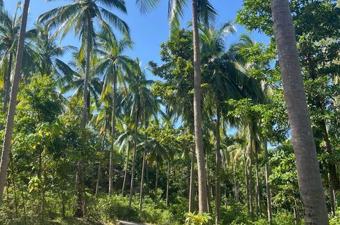 Land for sale in Bo Phut, Surat Thani