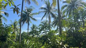 Land for sale in Bo Phut, Surat Thani