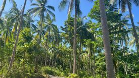 Land for sale in Bo Phut, Surat Thani