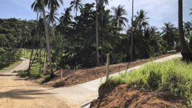 Land for sale in Mae Nam, Surat Thani