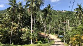 Land for sale in Mae Nam, Surat Thani