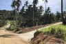 Land for sale in Mae Nam, Surat Thani