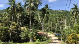 Land for sale in Mae Nam, Surat Thani