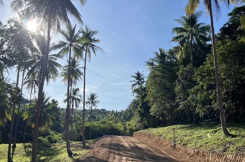 Land for sale in Mae Nam, Surat Thani