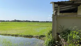 Land for sale in Nong Yaeng, Chiang Mai