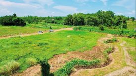 Land for sale in Huai Sai, Chiang Mai