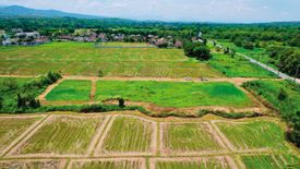 Land for sale in Huai Sai, Chiang Mai