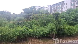 Land for sale in Nong Khwai, Chiang Mai