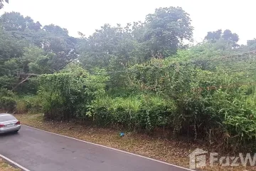 Land for sale in Nong Khwai, Chiang Mai