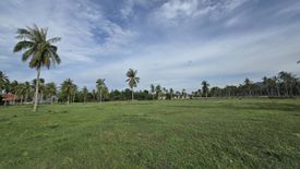 Land for sale in Sam Roi Yot, Prachuap Khiri Khan