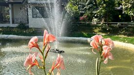 1 Bedroom Condo for sale in Natura Green Residence, Chang Phueak, Chiang Mai