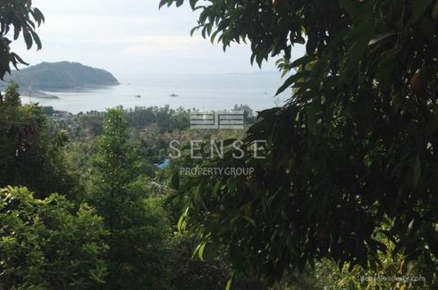 Land for sale in Ko Pha-ngan, Surat Thani