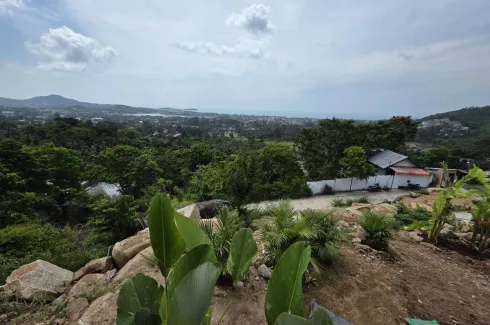 Land for sale in Bo Phut, Surat Thani