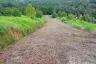Land for sale in Bang Kaeo, Ranong