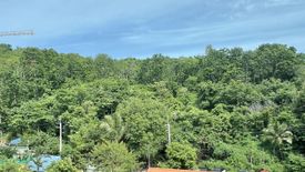 Apartment for sale in Utopia Loft, Rawai, Phuket