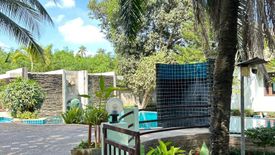 1 Bedroom House for rent in Maret, Surat Thani