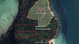 Land for sale in Pa Khlok, Phuket