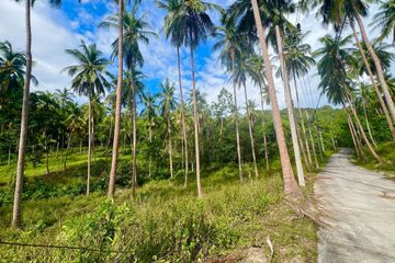 Land for sale in Taling Ngam, Surat Thani
