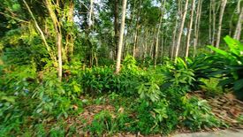 Land for sale in Ko Kut, Trat