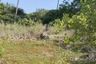 Land for sale in Bang Lamung, Chonburi