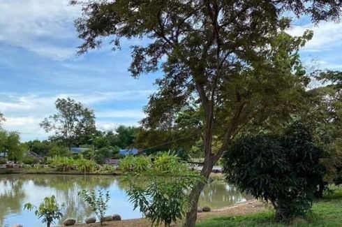 Land for sale in Nong Prue, Chonburi