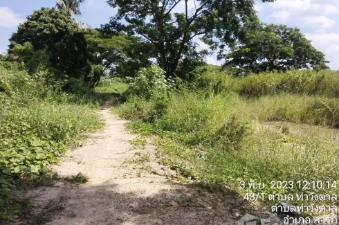 Land for sale in Tha Wang Tan, Chiang Mai