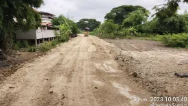 Land for sale in Tha Wang Tan, Chiang Mai