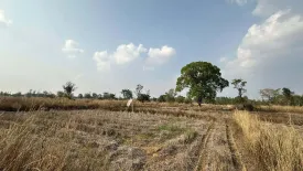 Land for sale in Na Yia, Ubon Ratchathani