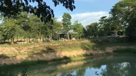 Land for sale in Nong Chom, Chiang Mai