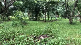 Land for sale in Nong Chom, Chiang Mai