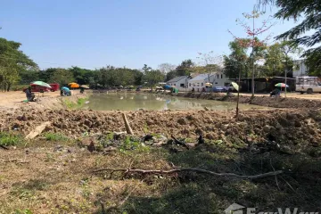 Land for sale in Nong Chom, Chiang Mai