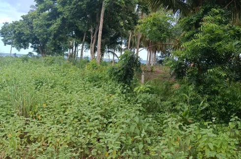 Land for sale in Bang Son, Chumphon