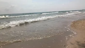 Land for sale in Bang Son, Chumphon