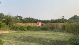 Land for sale in Don Han, Khon Kaen