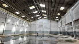 Land for sale in Om Noi, Samut Sakhon