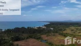 Land for sale in Bang Muang, Phang Nga