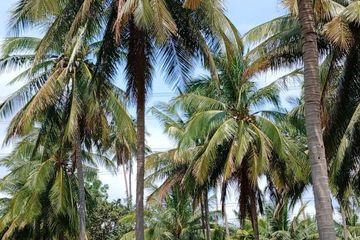 Land for sale in Khao Lan, Prachuap Khiri Khan