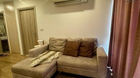 1 Bedroom Condo for rent in Serio Sukhumvit 50, Phra Khanong, Bangkok near BTS On Nut