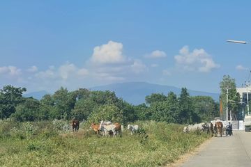 Land for sale in Nam Phrae, Chiang Mai