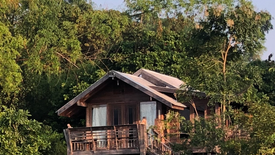 Land for sale in Saluang, Chiang Mai