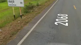 Land for sale in Ban Wang, Nakhon Ratchasima