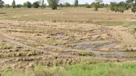 Land for sale in Si Mum, Nakhon Ratchasima