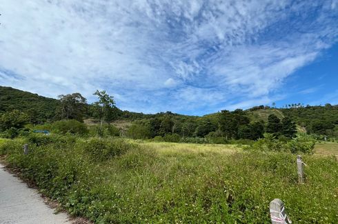 Land for sale in Bo Phut, Surat Thani