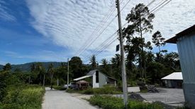 Land for sale in Bo Phut, Surat Thani
